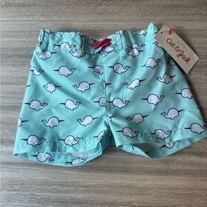 Cat & Jack Seafoam Norwal Pattern Shorts